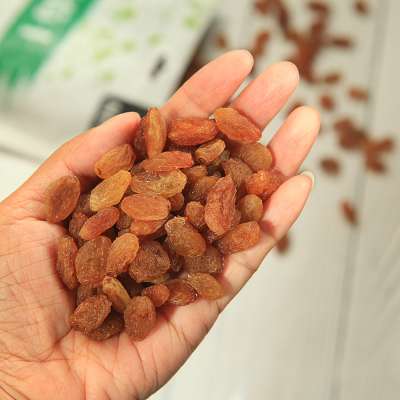 Best price Chinese Xinjiang  bulk seedless red raisins in dried fruit